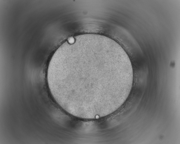 X0000116830309201001151232