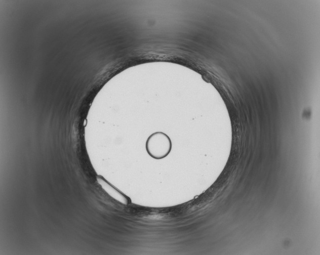 X0000116830312201001151232