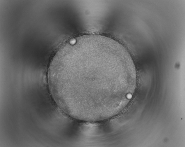 X0000116830313201001151232