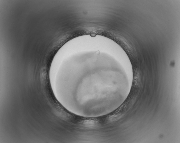 X0000116830314201001151232