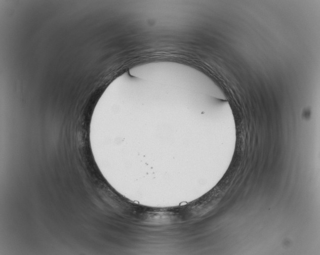 X0000116830316201001151232