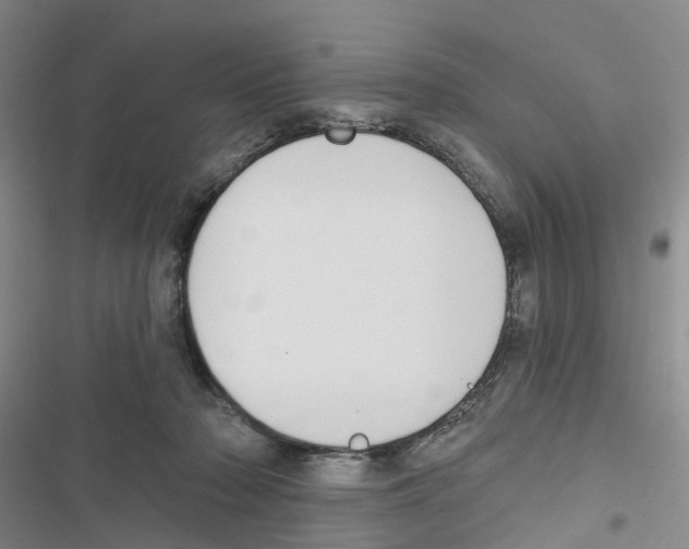 X0000116830318201001151232