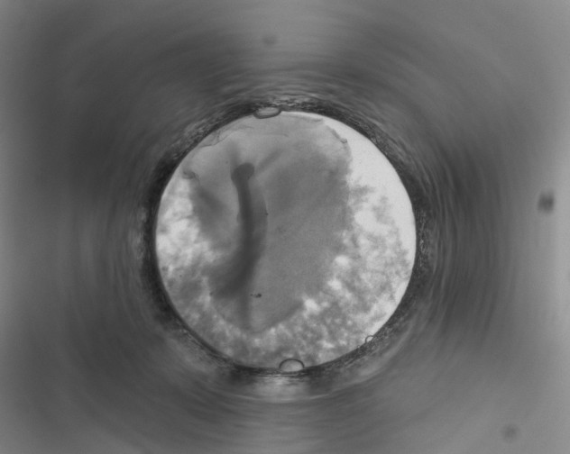 X0000116830319201001151232