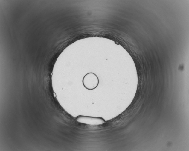 X0000116830320201001151231