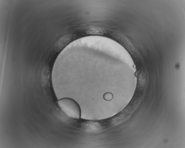 X0000116830322201001151231