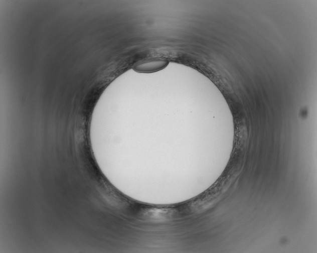 X0000116830323201001151231