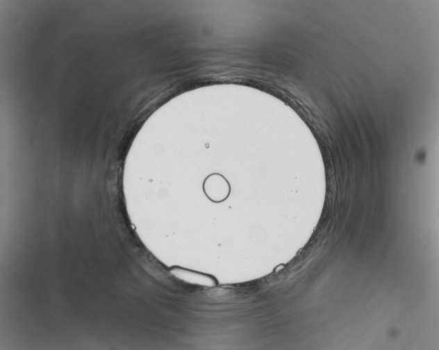 X0000116830325201001151231