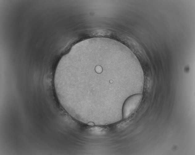 X0000116830326201001151231