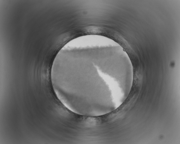 X0000116830330201001151231