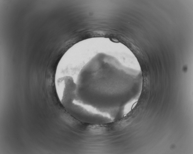 X0000116830331201001151231