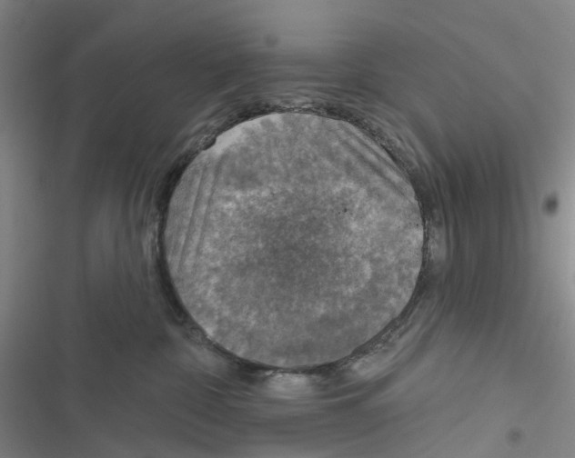 X0000116830332201001151231