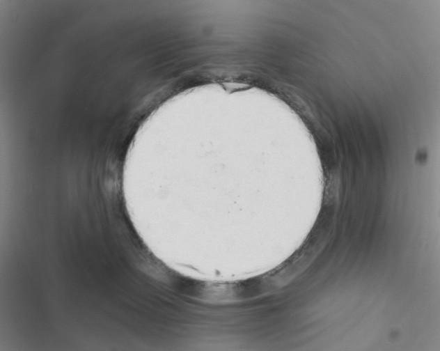 X0000116830335201001151231