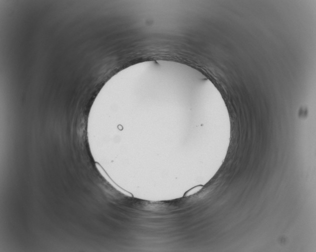 X0000116830336201001151231