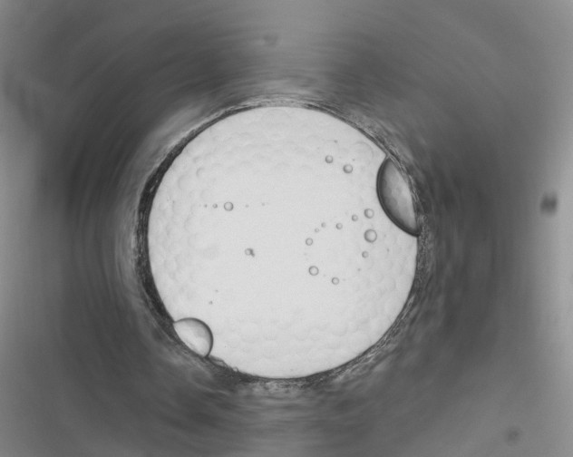 X0000116830338201001151231