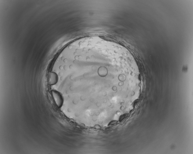 X0000116830339201001151231