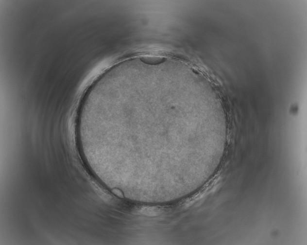 X0000116830341201001151231