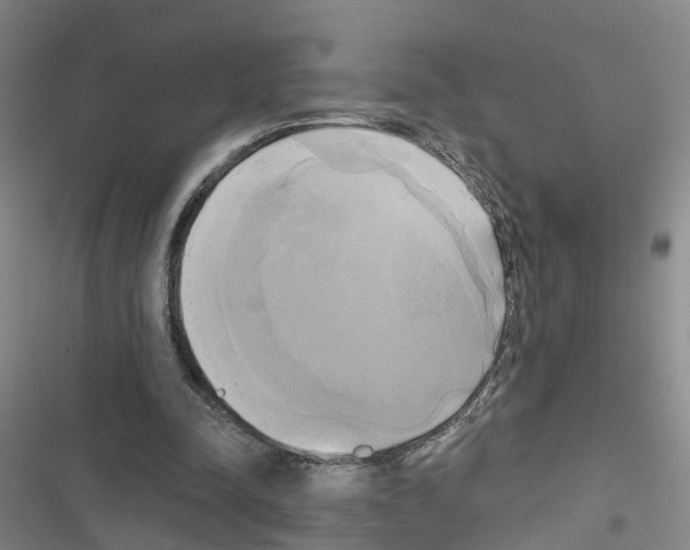 X0000116830342201001151231