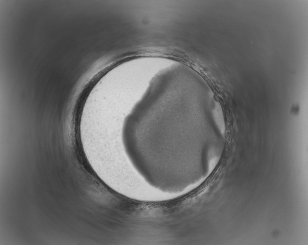 X0000116830343201001151231