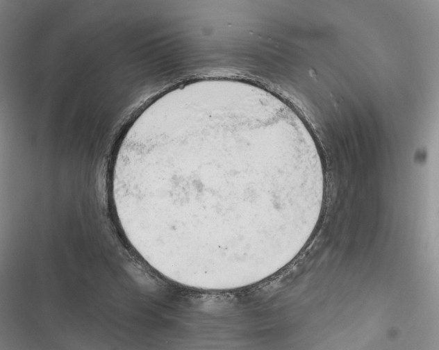 X0000116830345201001151231