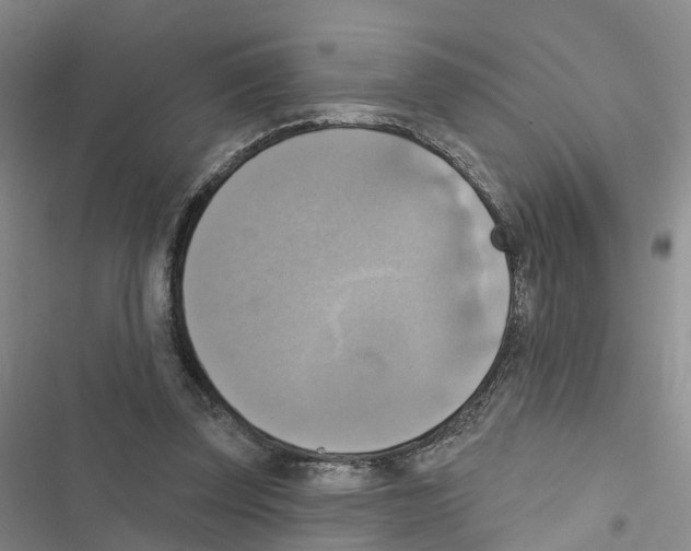 X0000116830347201001151231