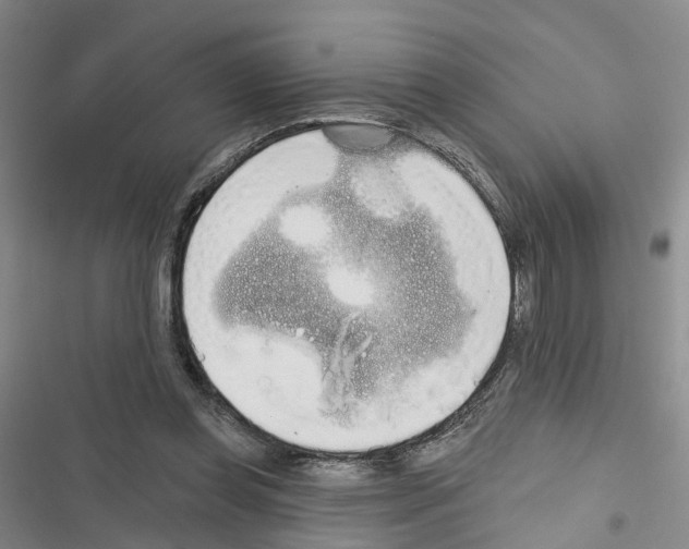 X0000116830349201001151231