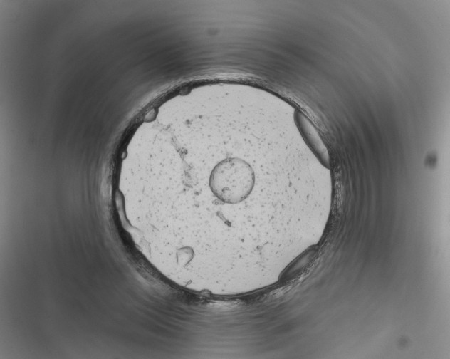 X0000116830350201001151231