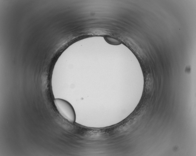 X0000116830351201001151231