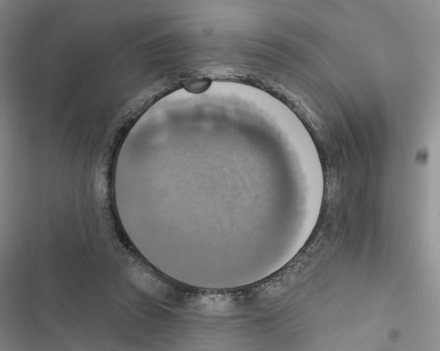 X0000116830353201001151231