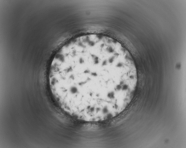 X0000116830354201001151231