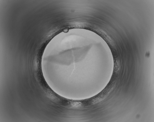 X0000116830355201001151231