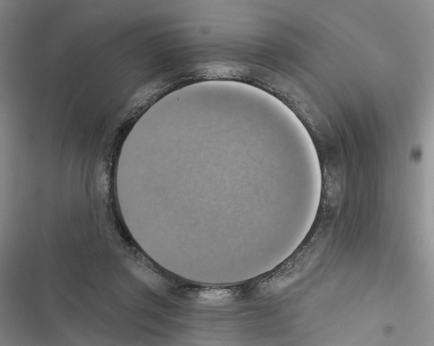 X0000116830357201001151231