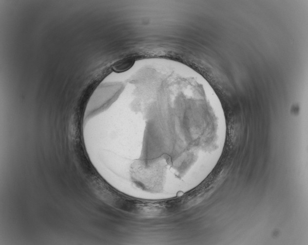 X0000116830359201001151231