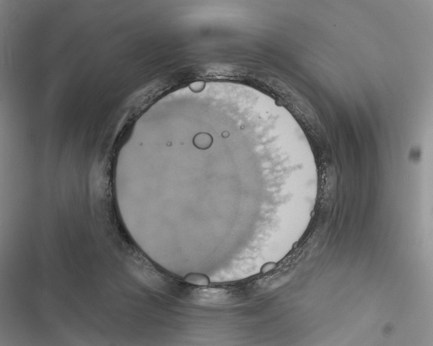 X0000116830361201001151231