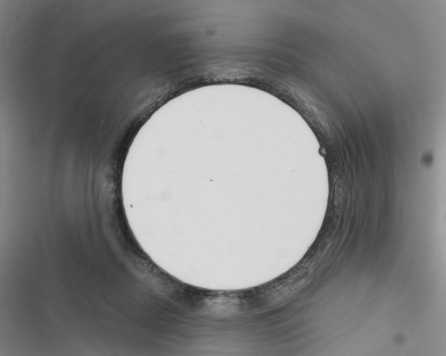 X0000116830362201001151231