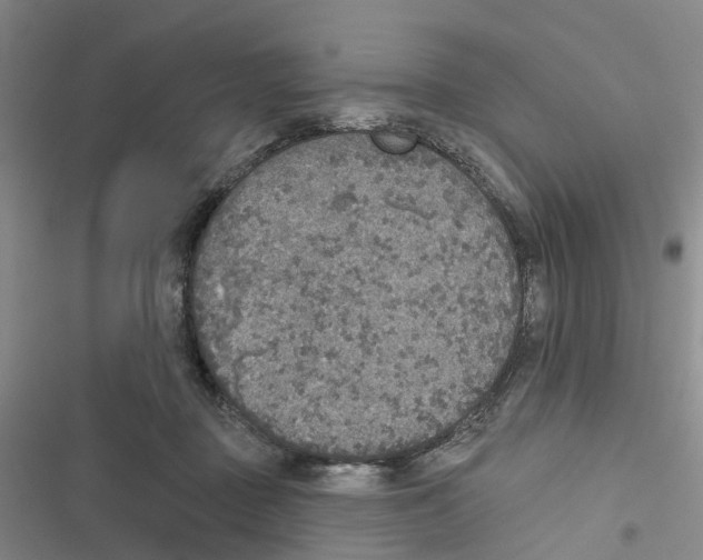 X0000116830363201001151231