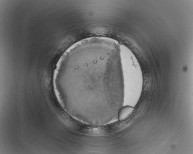 X0000116830365201001151231