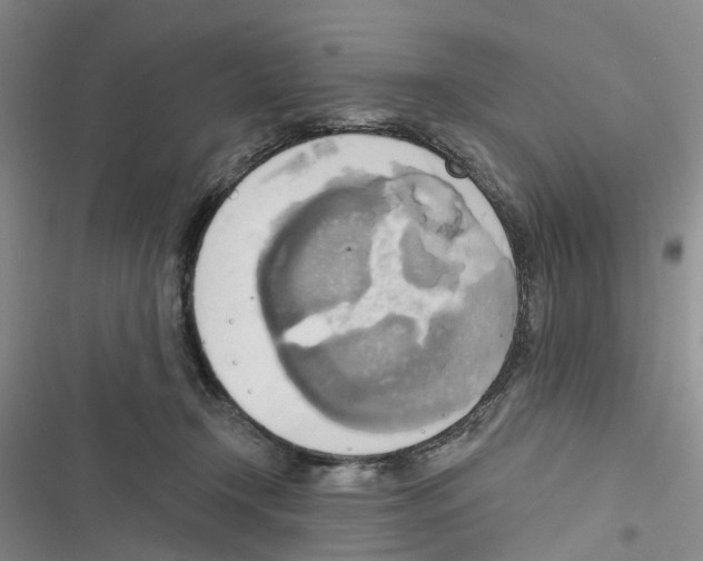 X0000116830366201001151231