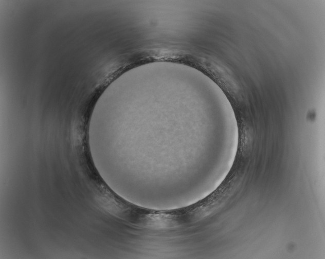 X0000116830367201001151231