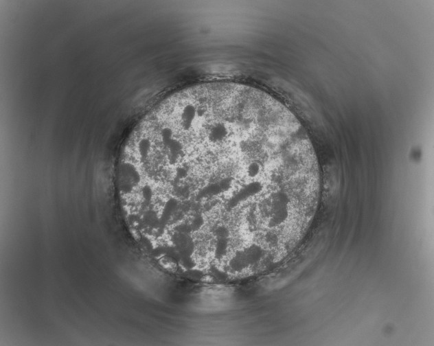 X0000116830369201001151231