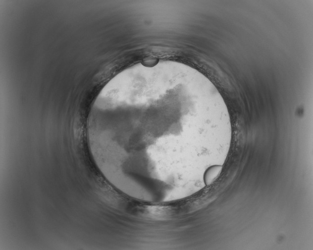 X0000116830371201001151231