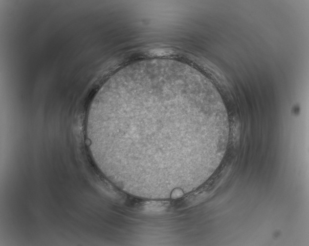 X0000116830373201001151231