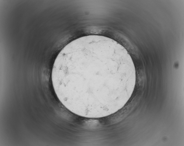 X0000116830374201001151231