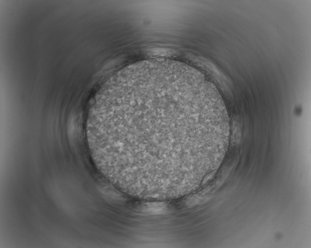 X0000116830377201001151231