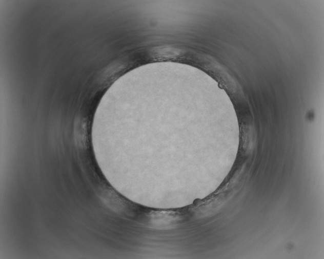 X0000116830378201001151231