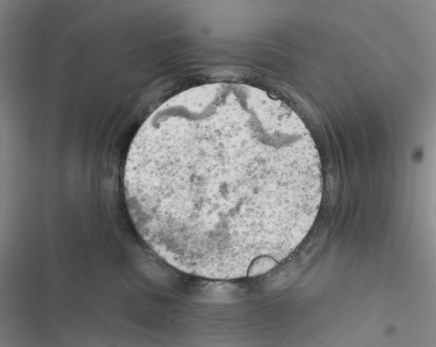 X0000116830379201001151231