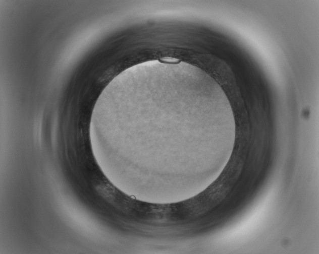 X0000116830382201001151231