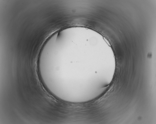 X0000116830386201001151231