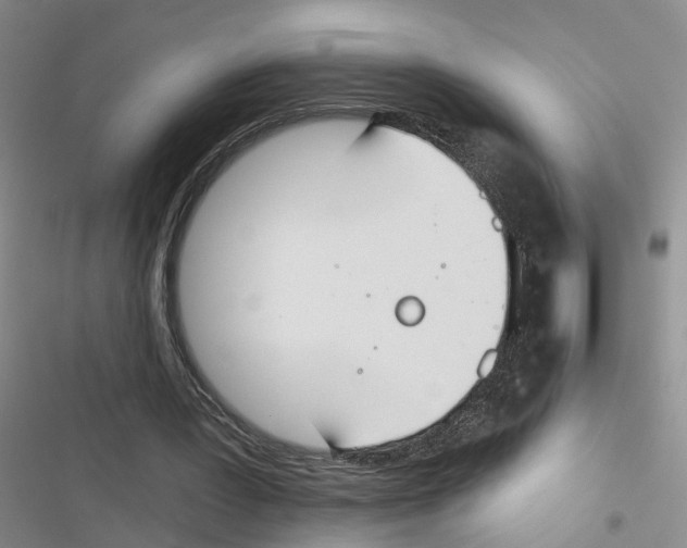 X0000116830387201001151231