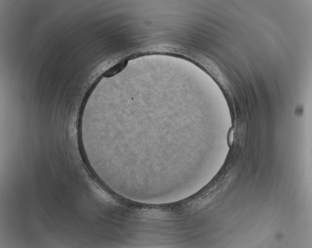 X0000116830389201001151231