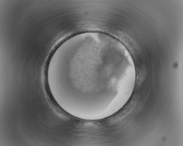 X0000116830390201001151231